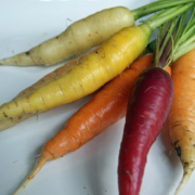 rainbow carrots seeds