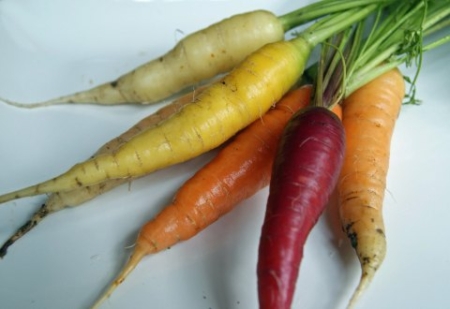 rainbow carrots seeds