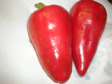 Capsicum annuum pimento pepper seeds