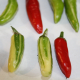 vareigated chili pepper fish seeds